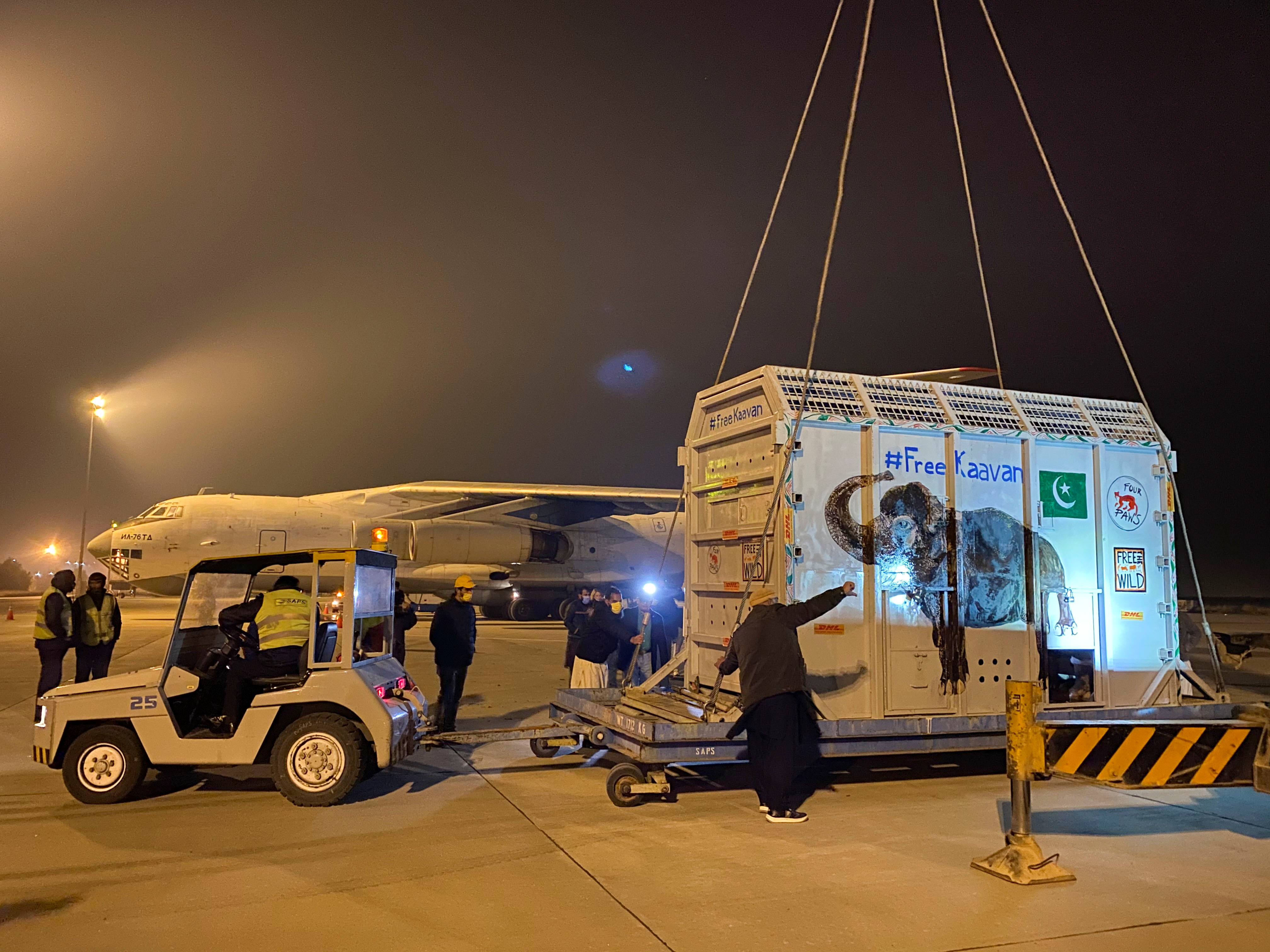Pakistan's 'loneliest' elephant airlifted to Cambodia