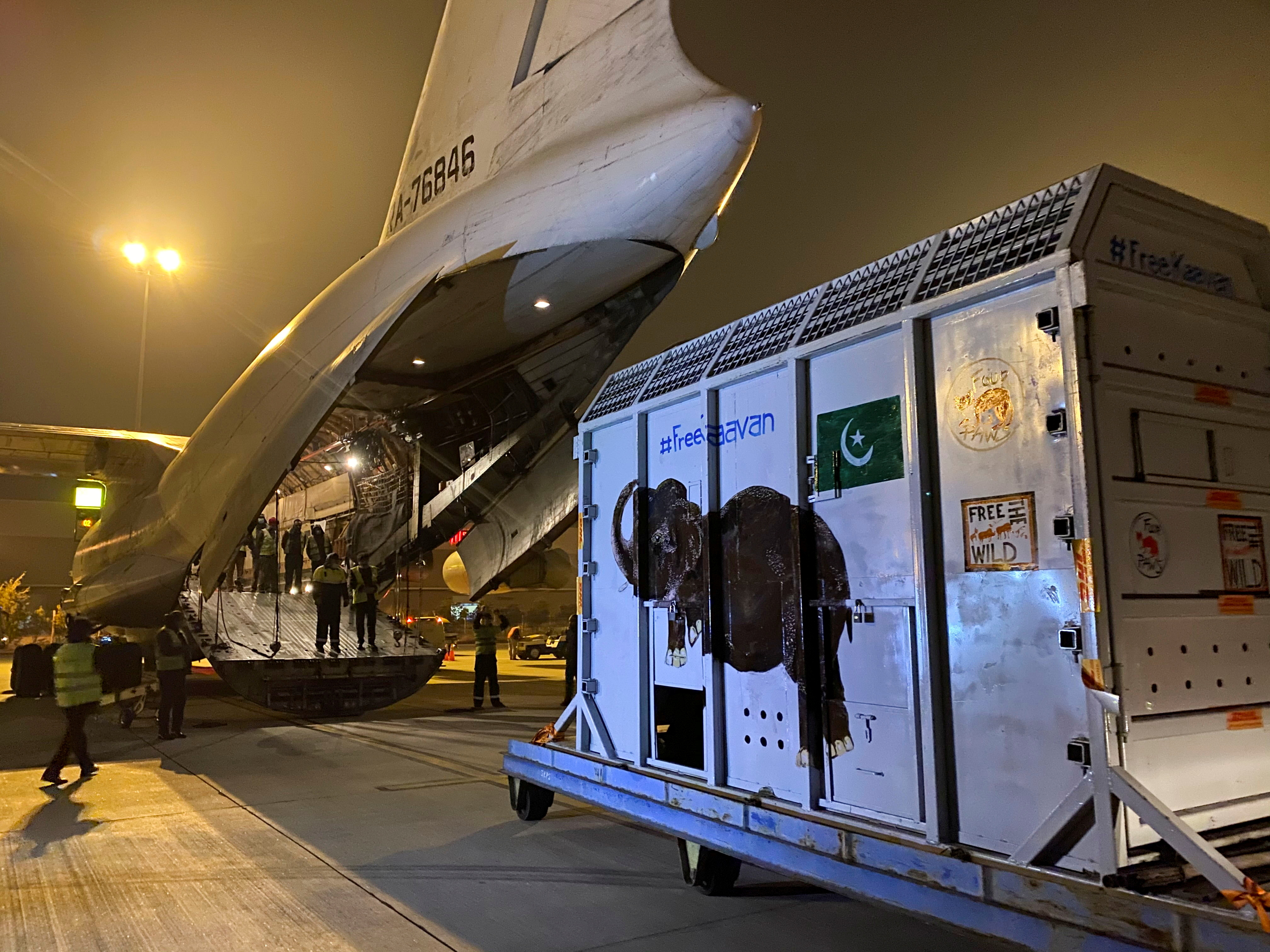 Pakistan's 'loneliest' elephant airlifted to Cambodia
