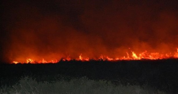 Aydın'da makilik alanda yangın