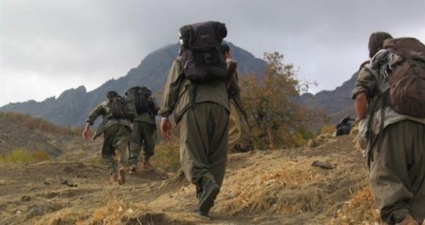 Şırnak''ta 12 PKK''lı teslim oldu