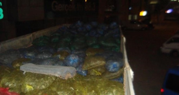 19 ton kaçak midye ele geçirildi