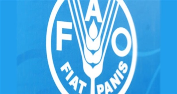 Türkiye'den FAO Konseyi'ne adaylık başvurusu