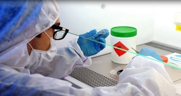 Ebola virüsünü teşhis eden test geliştirildi