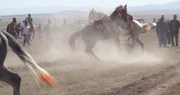 Cirit sahasında at kavgası