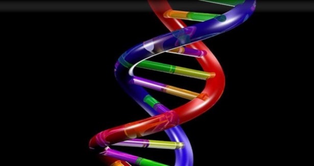 Kansere karşı ''DNA onarımı'' buluşu