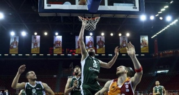 Aslan kendine geldi
