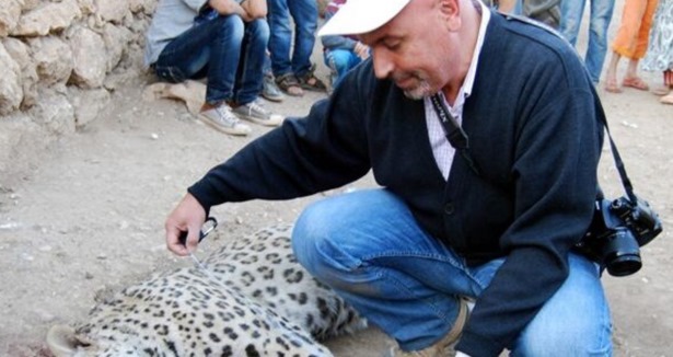 Türkiye'de bir ilk! Diyarbakır'da leopar saldırısı
