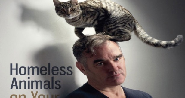 Morrissey''de İstanbul hayranı çıktı