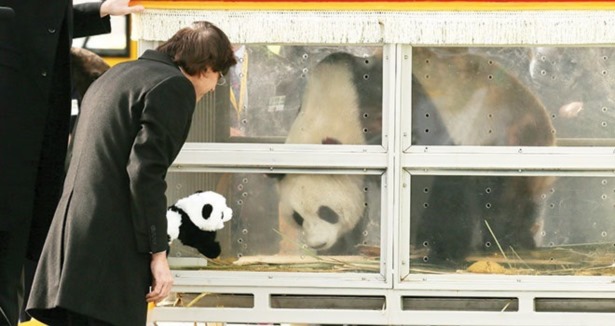 Pandalara VIP karşılama