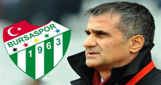 Bursaspor appoint Senol Gunes as new coach