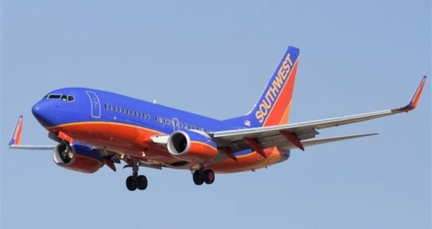 Uçakta "kıllı" diye müdahale edilmeyen yolcu öldü