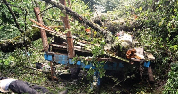 Traktörün üzerine ağaç devrildi: 6 ölü