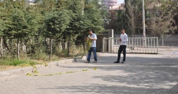 Diyarbakır'da şehit polis olayıyla ilgili 7 gözalt