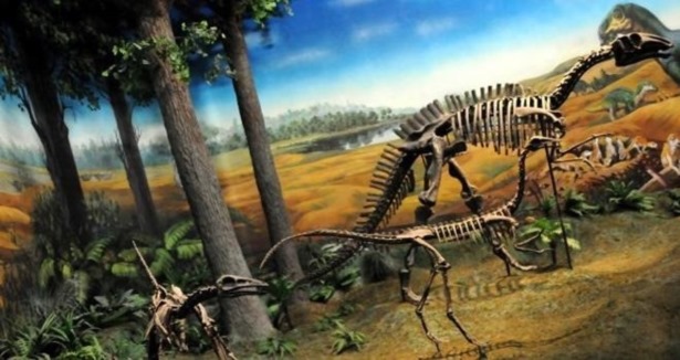 Dünyanın en büyük dinozoru Arjantin''de bulundu