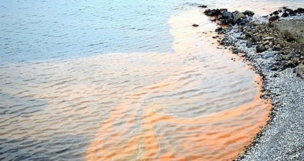Karadeniz sahilinde oluşan kızıl tabaka