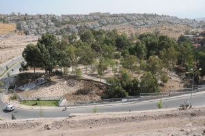 Güzeltepe'ye park ve piknik alanı yapılıyor