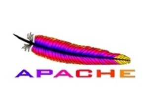 Microsoft'tan Apache'ye 100 bin dolarlık destek