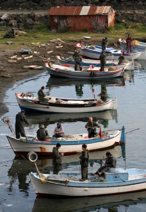 Balıkçılar orkinos avına ilgi göstermedi