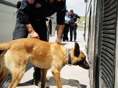 Çay ve sigara kaçağına köpekli son