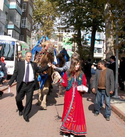 Van'ın develi katarı yollarda 