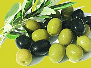 Dünya zeytin fiyatlarını Türkiye belirleyecek