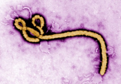 Ebola salgını kontrol altında