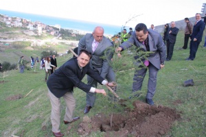 İlkadım'da fidan bayramı 