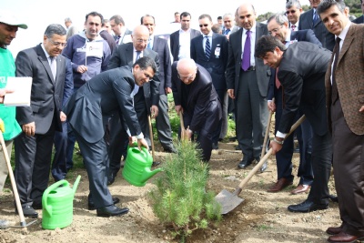 Foça'da Haydar Aliyev Ormanı kuruldu 