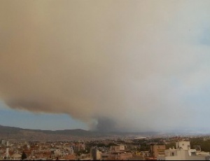 Manisa'da başlayan yangın, İzmir'e sıçradı