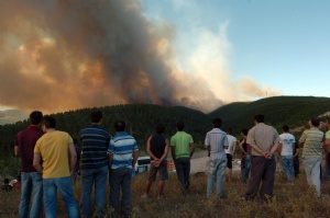 İzmit'te korkutan yangın