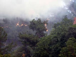Karabük'teki yangın büyüyor