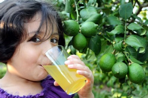 Gripten korunmak için ekinezya ve limon tüketin