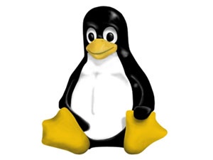 Linux camiasında iki dev buluşma