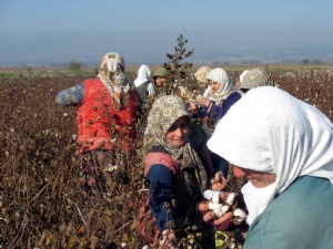 Egeli çiftçiler mazot ve gübrede balans istiyor