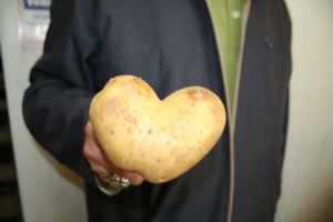 Kalp şeklinde patates