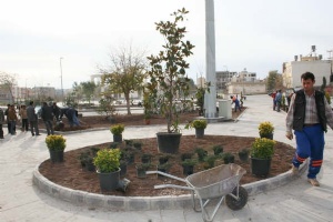 Recep Tayyip Erdoğan Meydanı'nında ağaçlandırma ya