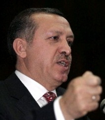 Erdoğan: Son sözü hükümet söyler