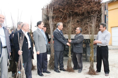 İl Özel İdaresi'nden rekor fidan dağıtımı