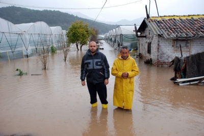 Yıllık kayıp 150 milyon lira