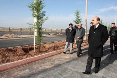 Başkan Palta: On binlerce ağaç diktik 