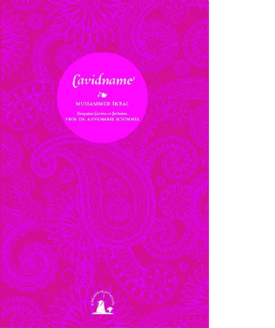 Daimîlik namesi Cavidname