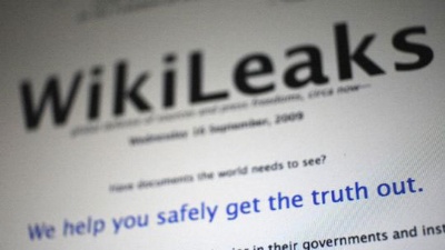 EveryDNS, wikileaks adına verdiği hizmeti durdurdu