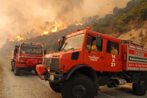 Armutlu-Gemlik yolu yangın nedeniyle kapatıldı