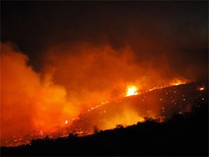 Yangın büyüdü 2 bin kişi tahliye edildi