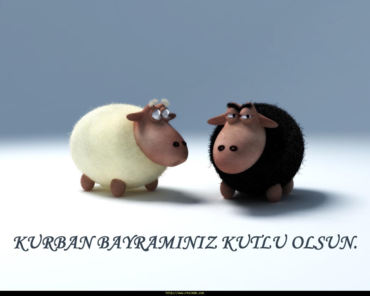 yeni safak