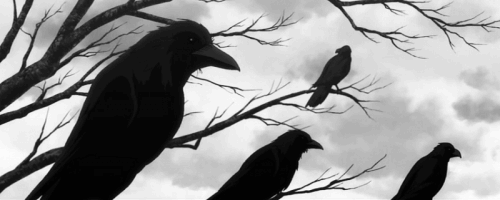 Konumuz karga olunca ABD'li ünlü şair Edgar Allan Poe​'nin karga sevgisini anlatan şiirine değinmeden olmazdı.
kargadan başka kuşa kuş demem 
kanım ısınıktır severim onları 

burun kıvırmayın

tanrının verdiği candır taşıdıkları 

sonra hindilerden yakışıklıdırlar 

yalnızlığı severler bende severim 

yaradılış suç mu bu 

severim mısırı onlarda sever 

patlatır patlatır afiyetle yerim 

gelseler camın önüne 

onlara da veririm 

gelmezler bende gitmem yanlarına 

çok mu gururluyuz yabani miyiz yoksa 

gururlu insan düşünebilen şerefli insandır 

ama karıştırmayın aptal ile gururluyu 

zaten ben 

gururlu kargadan başka 

kuş´a kuş demem 

kanarya derim 

saka derim 

bülbül derim 

ama kuş demem…


