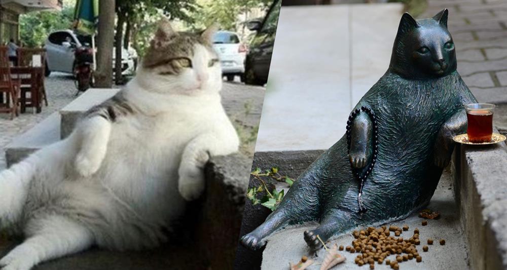 kedi tombili nin heykeli
