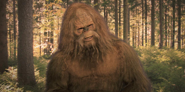 Büyük ihtimalle fazlasıyla dünya dışı yaratık gibidirler
Dünya'da yaşamın temeli olan karbon tabanlı sistem, tüm evrende geçerli olmayabilir. Uzaylıların gezegeninde karbon atomu bulunmayabilir bile. Yani uzaylı medeniyetlerle şimdiye kadar karşılaşmadığımızı düşünmemizin sebebi, karşılaştığımızda onların uzaylı olduğunu anlayamamamız olabilir. Uzaylıların fiziksel olarak insana çok benzediğini kabul etsek bile, onların düşünme biçimleri hız ve tepki açısından bizimkinden çok farklı olabilir. 

Bu konu Carl Sagan'ın ünlü romanı ve film uyarlaması Contact'te de işlenmiştir. İnsanların, uzaylılar tarafından gönderilen tek bir cümleyi çevirmesi aylar, yıllar alabilir. Uzaylılar 70 yıldır bize aynı cümleyi tekrar tekrar gönderiyor olsalar, biz sinyal kirliliği sanıp es geçiyor bile olabiliriz.

