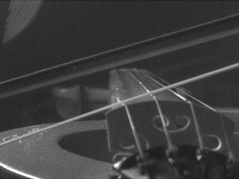 Titreyen keman yayı

                                    
                                