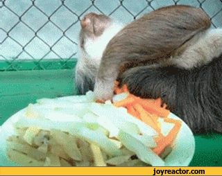 En son ne zaman yemek pişirdiklerini hatırlamazlar